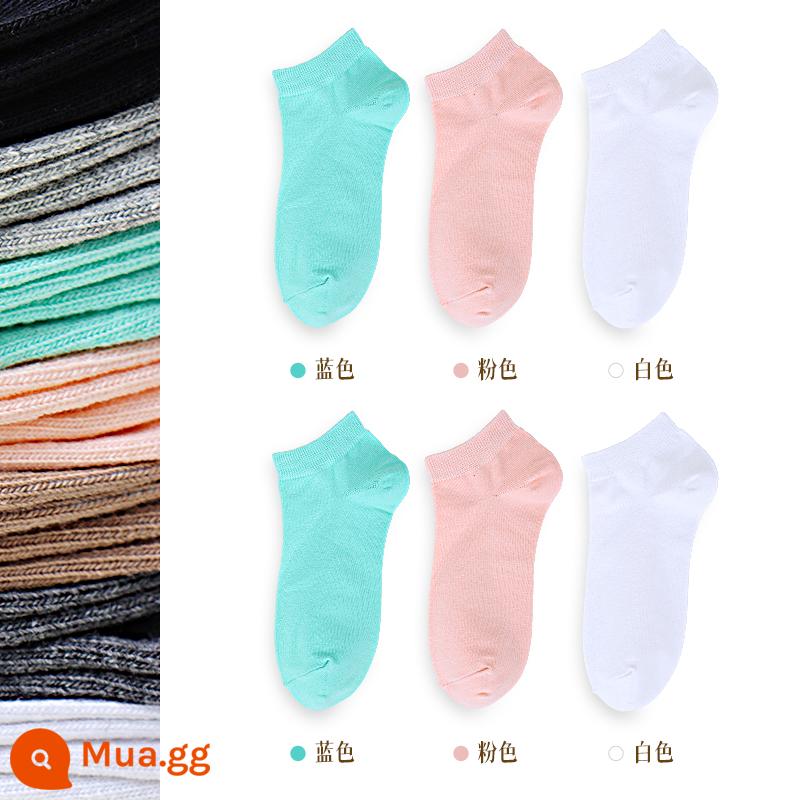 5 đôi tất ba lỗ nam nữ cotton mùa xuân thu chải kỹ thể thao màu đen thoáng khí, chống mùi hôi, thấm hút mồ hôi, tất màu trơn vừa và ngắn - [Nữ] Ống ngắn 6 đôi bộ 4 (xanh 2 hồng 2 trắng 2)