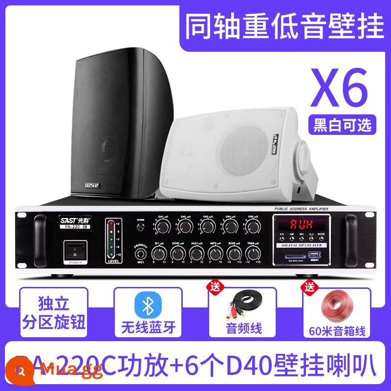 Xianke Wall Audiovutions SOUND Box Store - PA-220C năm vùng+loa siêu trầm D40 treo tường*cáp âm thanh 6+60m