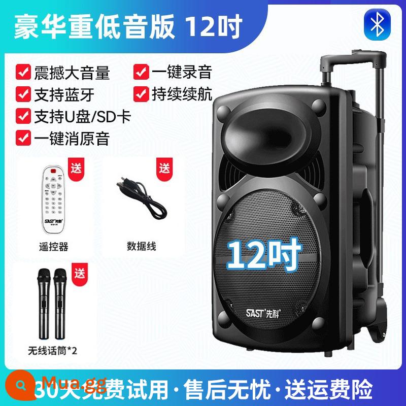 Xianke Vuông Vũ Âm Thanh Karaoke Ngoài Trời Chuyên Nghiệp Loa Có Micro Nhà Cần Gạt Bluetooth Micro Kéo Tay - Phiên bản loa siêu trầm sang trọng 12 inch + 2 micro không dây chuyên nghiệp + điều khiển từ xa