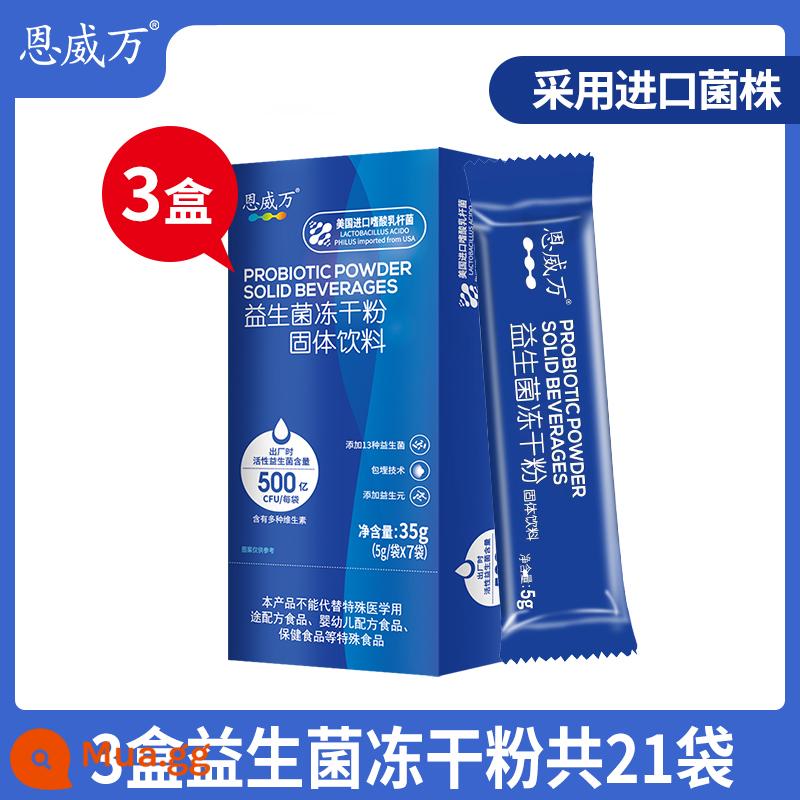 Bột đông khô men vi sinh hoạt tính cao Enweiwan có thể được sử dụng để điều chỉnh các sản phẩm tiêu chảy và táo bón đường tiêu hóa cho trẻ em và người lớn - [3 hộp] Tổng cộng 21 túi, gói tiết kiệm