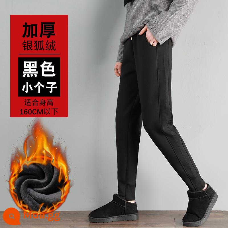 Gỗ quần thể thao dày 2022 Mới mùa thu và mùa đông tích hợp quần nhung Lamb Cashmere mặc quần cotton quần mùa đông - Cáo Bạc Nhung Đen [Người Nhỏ]