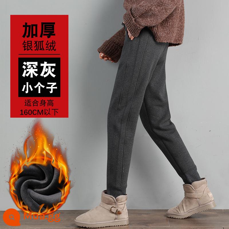 Gỗ quần thể thao dày 2022 Mới mùa thu và mùa đông tích hợp quần nhung Lamb Cashmere mặc quần cotton quần mùa đông - Nhung bạc cáo xám đen [người đàn ông nhỏ]