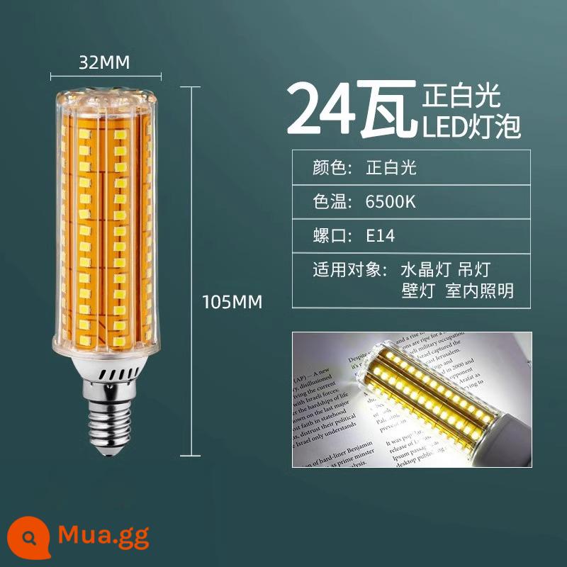 Bóng Đèn LED Ngô Đèn Hộ Gia Đình E27 Sợi E14 Vít Tiết Kiệm Năng Lượng Đèn Trắng Ấm Ba Màu Ánh Sáng Chiếu Sáng đèn Chùm Đèn - Không nhấp nháy, cổng vít E14, ánh sáng trắng 24W