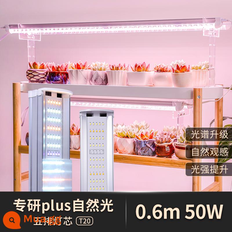 Đèn LED mọng nước đặc biệt lấp đầy ánh sáng hộ gia đình màu mô phỏng giả mặt trời trong nhà ánh nắng mặt trời toàn phổ đèn tăng trưởng thực vật - Chuyên đèn thiên nhiên Plus [T20 năm hàng] 0,6m 50W