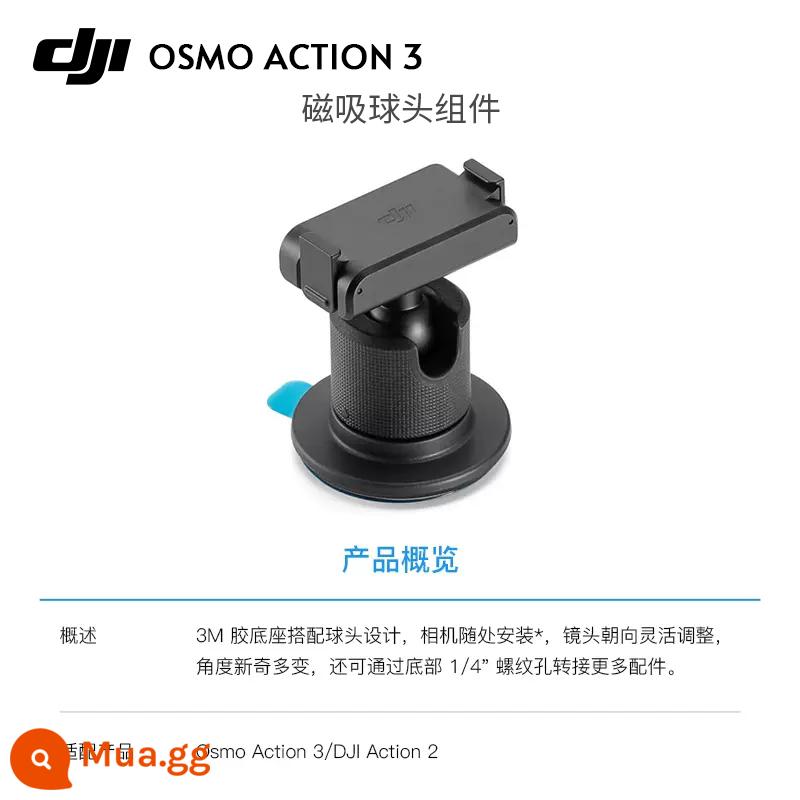 Dji OsmoAction3 Phụ kiện vành đai gốc Vỏ không thấm nước Lặn Phụ kiện bình thường - Đế đầu bi nam châm nguyên bản (phổ thông 3/4)