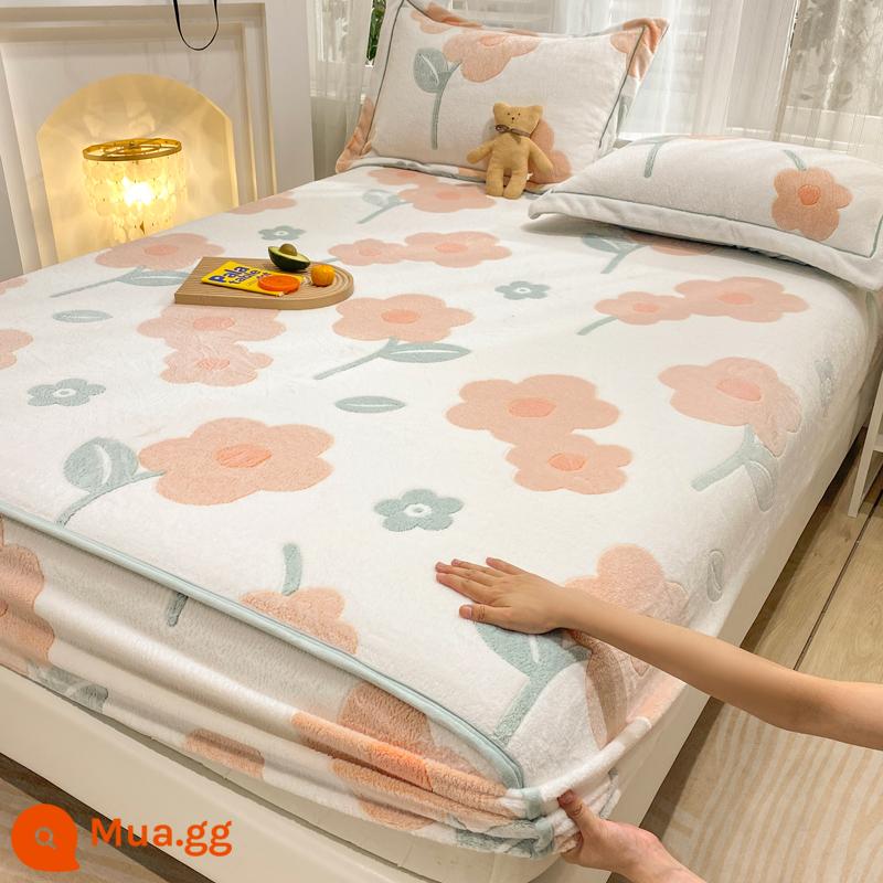 Jieliya sữa san hô mô hình Velvet Single Bed Bed Mids Matsus Mattp Mattop Caper Matsted Mattop Cast Set - hoa đồng cỏ