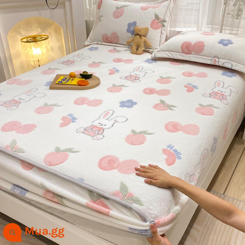 Jieliya sữa san hô mô hình Velvet Single Bed Bed Mids Matsus Mattp Mattop Caper Matsted Mattop Cast Set - đào thỏ