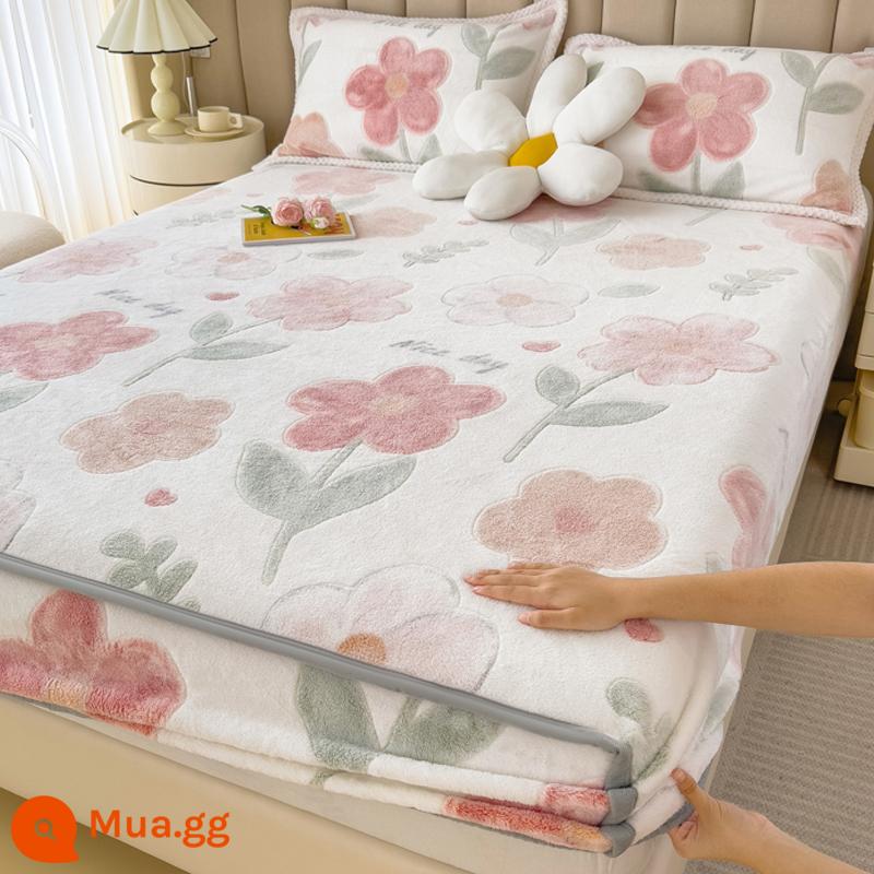 Jieliya sữa san hô mô hình Velvet Single Bed Bed Mids Matsus Mattp Mattop Caper Matsted Mattop Cast Set - đóng băng trên bánh