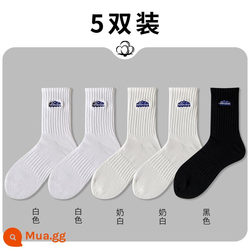 2 đôi bông thêu Klein màu xanh Tân Cương trào lưu - 2 trắng + 2 trắng sữa + đen