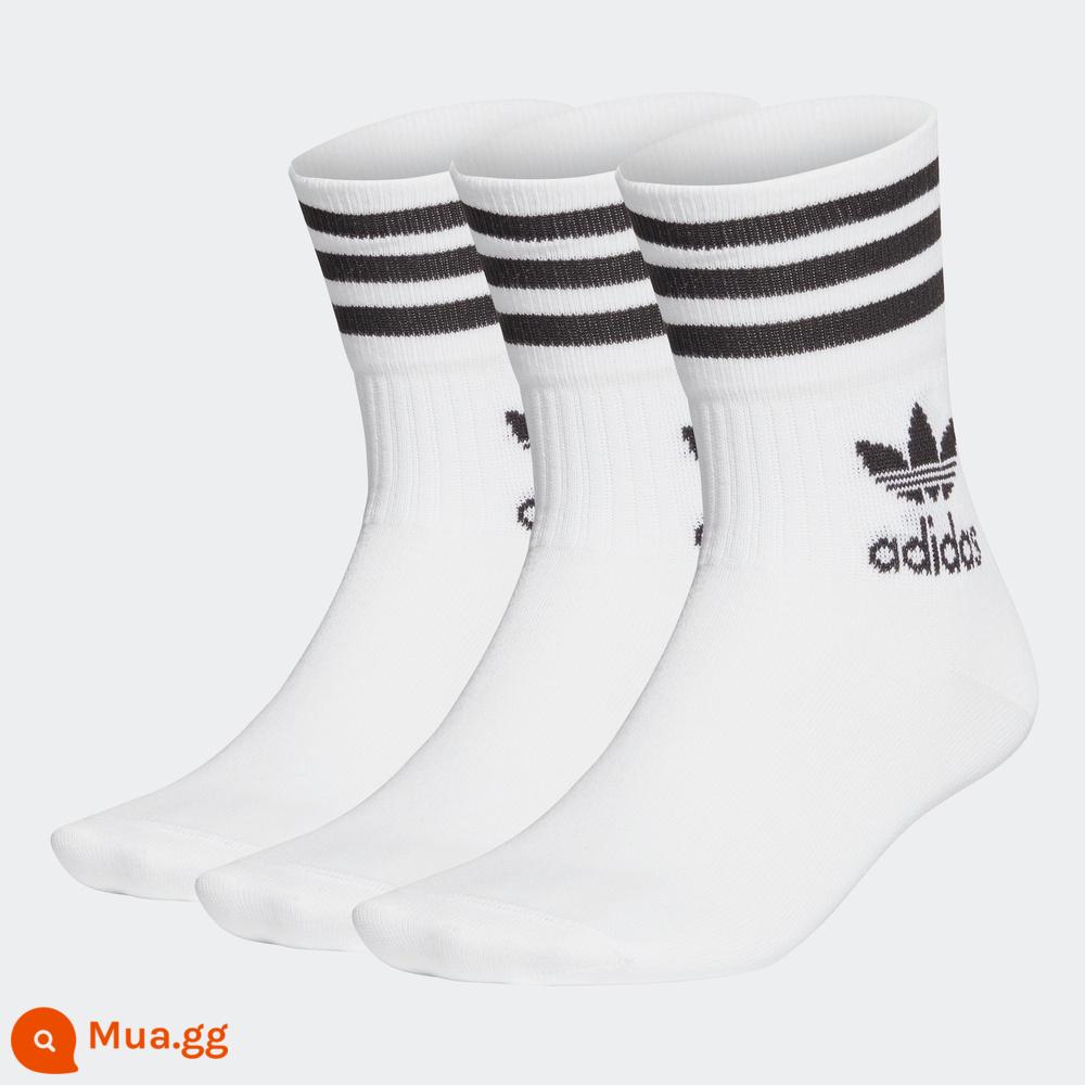 Vớ Adidasadidas, vớ bóng rổ, vớ thể thao, vớ cỏ ba lá nam, vớ trẻ em - [Clover] Trắng GD3575 ba đôi, size M giá đặc biệt