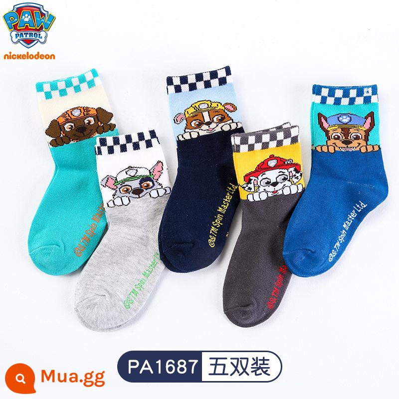 Wangwang Đội Vớ Trẻ Em Cotton Nguyên Chất Bé Trai Hoạt Hình Cho Bé Vớ Cotton Xuân Hạ Thu Đông 2-3-6 Tuổi Vớ Bé Trai - PA1687-Năm cặp màu tương phản