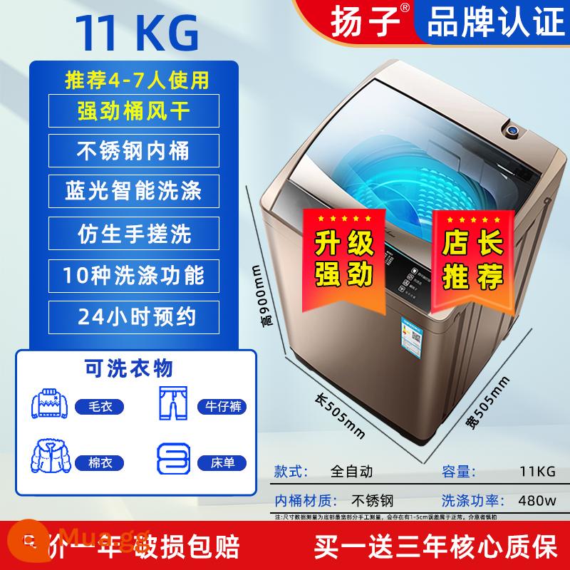 Máy giặt Yangzi hoàn toàn tự động gia đình 10 kg máy phát điện giặt và sấy nhỏ cho thuê máy giặt tất cả trong một ký túc xá - 11kg sấy khô mạnh mẽ, giặt bằng ánh sáng xanh chống rối [động cơ công suất mạnh]