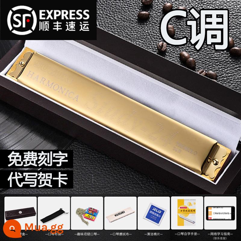 Bản gốc Suzuki harmonica 24 lỗ đa âm C giai điệu đích thực dành cho học sinh người lớn mới bắt đầu với đàn piano chuyên nghiệp - (Dành cho người mới bắt đầu) Phím C đa âm 24 lỗ vàng + hộp quà gỗ đàn hương + gói quà tự học