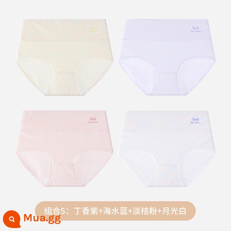 Quần lót nữ Catman Cotton nguyên chất Kháng khuẩn Eo cao Kiểm soát bụng Kích thước lớn Quần đùi nữ Quần cotton Quần đùi Tóm tắt Tóm tắt - [Nâng cấp màu bông]: màu hoa cà + xanh biển + hồng cam nhạt + trắng ánh trăng