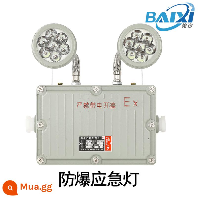 Đèn LED chiếu sáng khẩn cấp chống cháy nổ Biển báo sơ tán cháy C Chiếu sáng trạm xăng EX Đèn báo thoát hiểm an toàn chống cháy nổ - Đèn chiếu sáng khẩn cấp chống cháy nổ-kích thước lớn