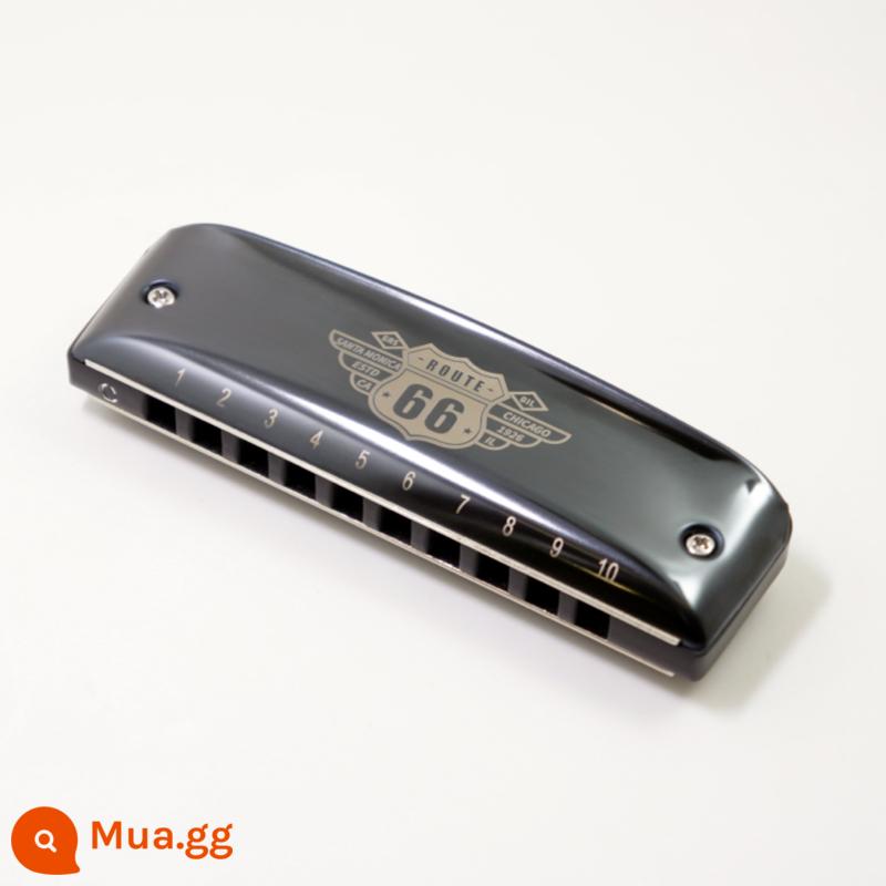 Route 66 Boogieman 10 lỗ blues blues cấp chuyên nghiệp Harmonica 10 lỗ PADDY harmonica dành cho người mới bắt đầu - Phím C (mẫu phím đen) + trọn bộ quà tặng