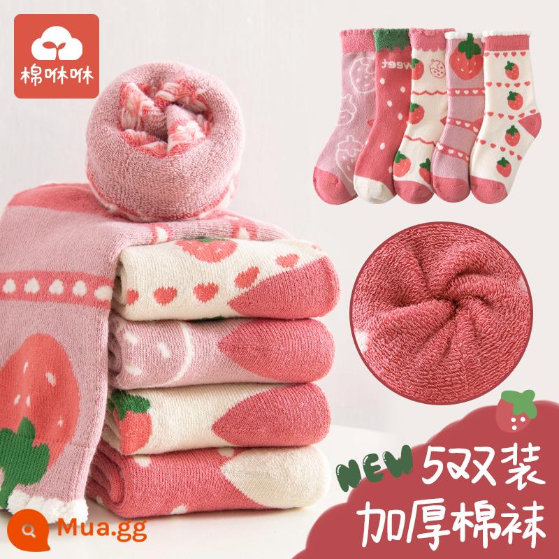 Vớ bé gái mùa đông dày ấm bông tất trẻ em cotton nguyên chất ống giữa vớ cotton mùa thu đông cho bé Plus nhung khăn tất - Sweet Strawberry-5 Cặp Phong Cách Dày Mùa Đông