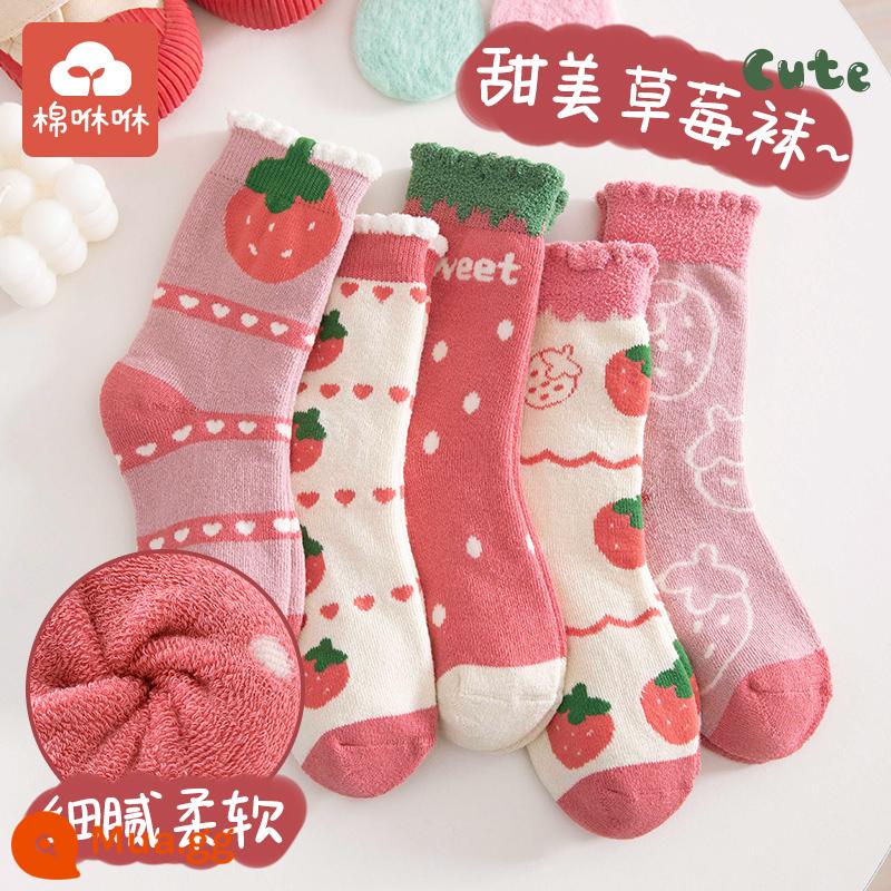 Vớ bé gái mùa đông dày ấm bông tất trẻ em cotton nguyên chất ống giữa vớ cotton mùa thu đông cho bé Plus nhung khăn tất - Dâu Hàn Quốc-5 cặp, dày phong cách mùa đông