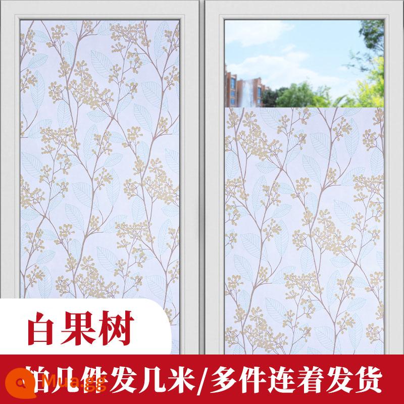 Giấy dán kính cửa sổ chống nhìn trộm full shading giấy dán cửa sổ chống sáng giấy dán kính chống sáng giấy dán kính chống nhìn trộm giấy dán kính chống nhìn trộm - Cây ăn quả màu trắng (che bóng mạnh)