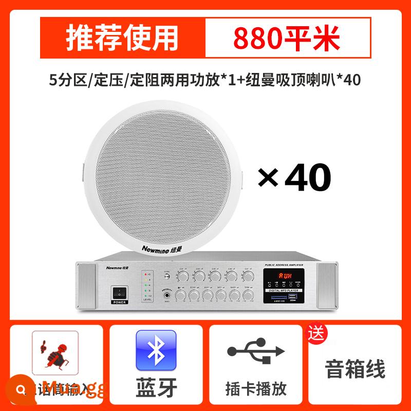 Âm thanh gắn trần Newman phòng khách nhà cửa hàng trang trí nền bộ khuếch đại âm nhạc trần phòng hội nghị loa trần treo không dây Bluetooth loa trần điều khiển phân vùng có dây nhúng - Ampli chuyên nghiệp 5 vùng + 40 loa âm trần chuyên nghiệp