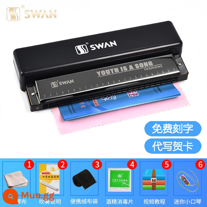 Thương hiệu Swan 24 Kong Recharge C Điều chỉnh Trẻ em Học sinh Khai báo Sách tựa Sở Notebook Nhi sáng - Đen + Trọn bộ tiền thưởng + Video hướng dẫn