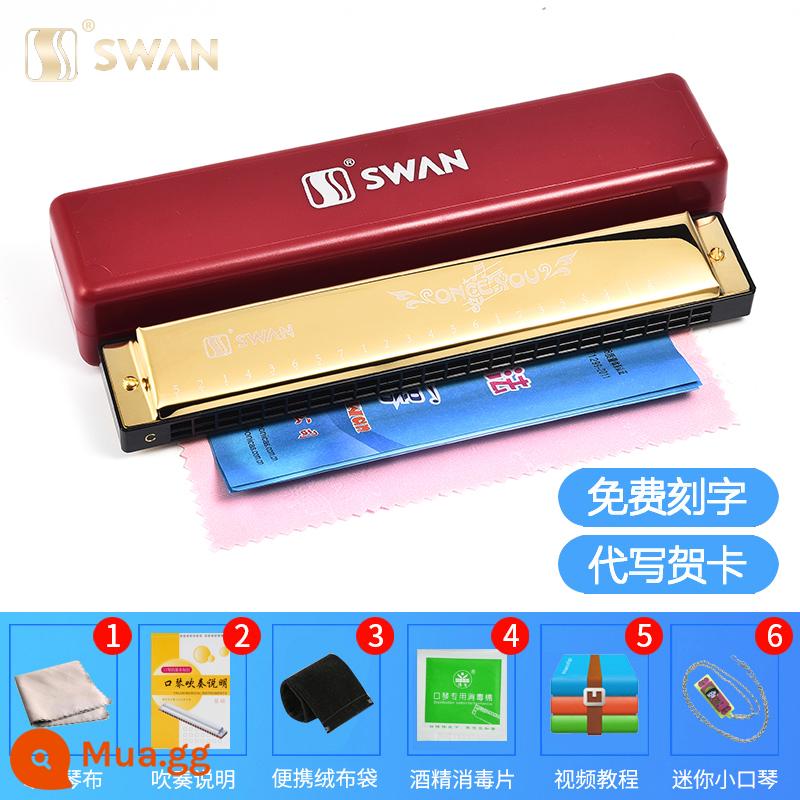 Thương hiệu Swan 24 Kong Recharge C Điều chỉnh Trẻ em Học sinh Khai báo Sách tựa Sở Notebook Nhi sáng - Vàng + trọn bộ quà tặng + video hướng dẫn