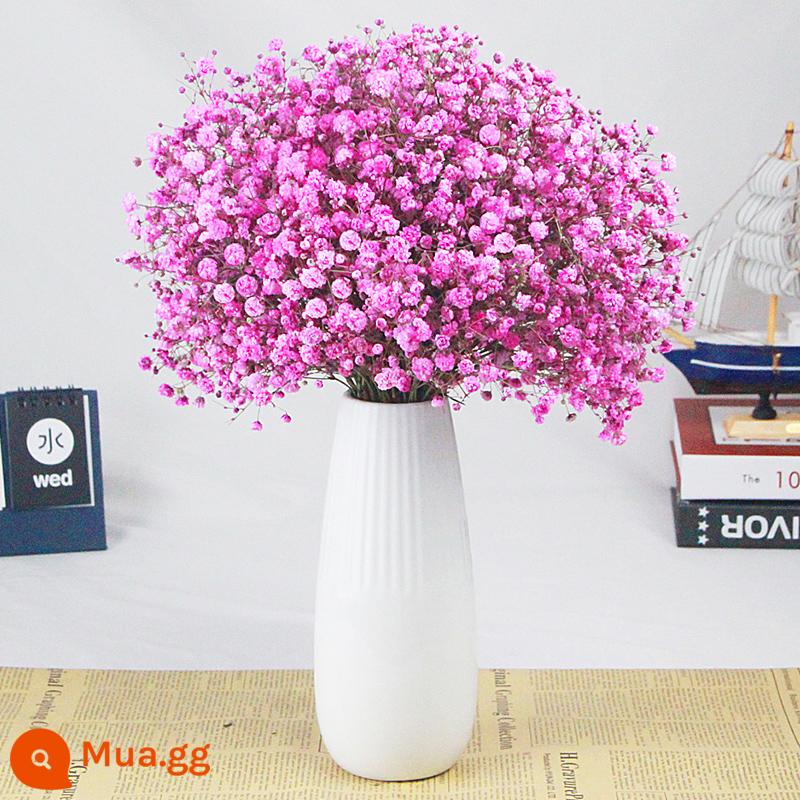 Gypsophila khô hoa trang trí phòng khách trang trí bán buôn gió tự nhiên tươi bình hoa thật quà tặng chất liệu tự làm - Hơi thở em bé màu hồng + bình sứ trắng miễn phí