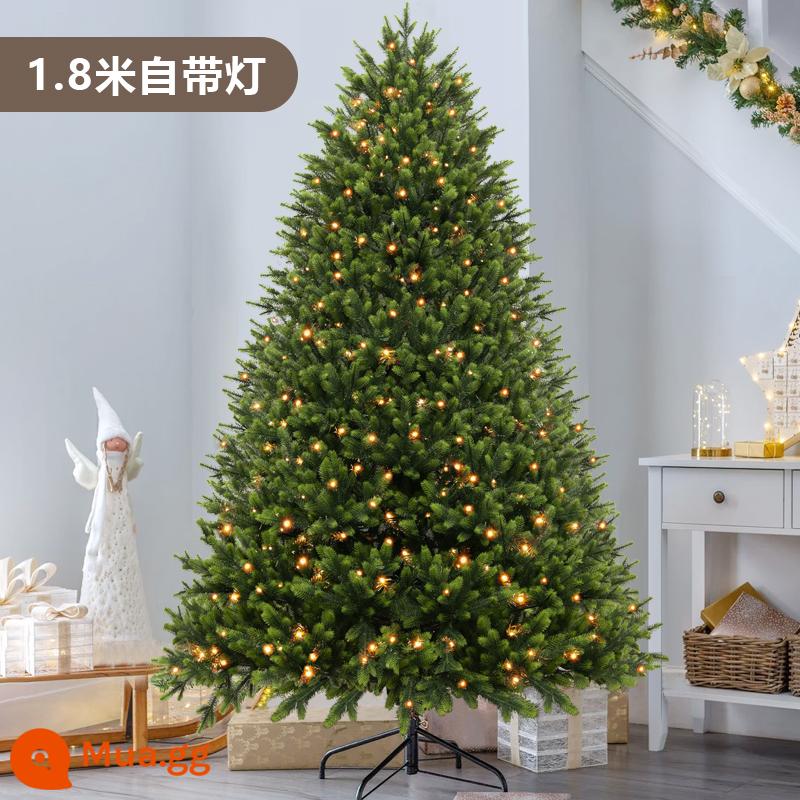 Cây thông Noel nhà 2023 mới sang trọng được mã hóa rộng đầy đủ PE có đèn phát sáng riêng trang trí cây thông Giáng sinh - 1,8 mét (tất cả vật liệu PE) có đèn tích hợp