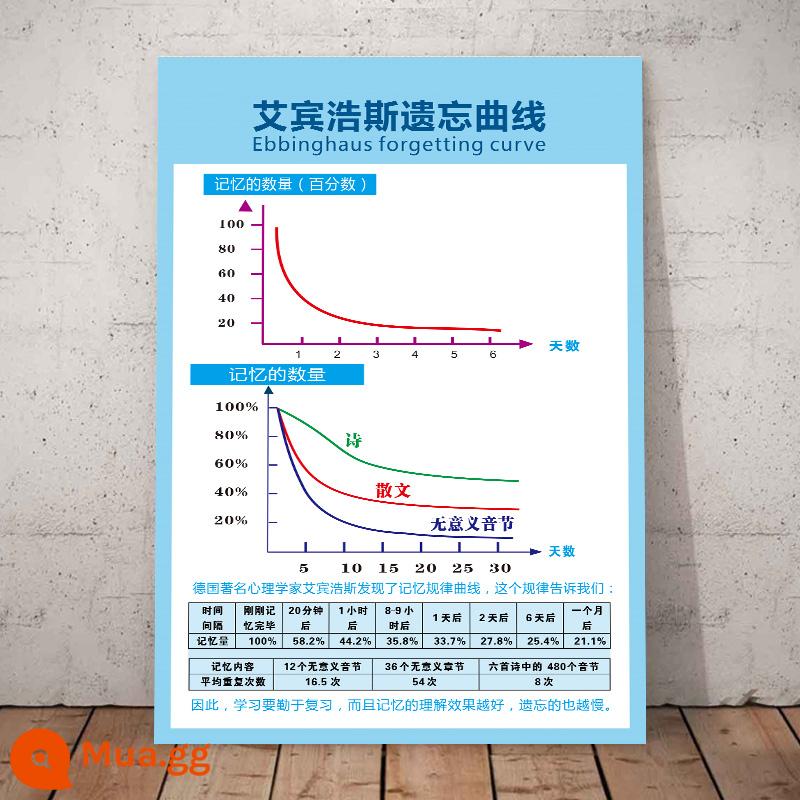 Bảng mức năng lượng Hawkins phòng tư vấn tâm lý poster quảng cáo áp phích dán bản đồ mức năng lượng cảm xúc khẩu hiệu truyền cảm hứng - Đường cong 23-Quên