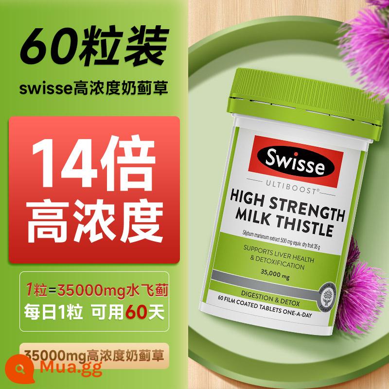 Swisse Viên Bảo Vệ Gan Cây Kế Sữa swiss Milk Thistle Swiss Health Products Official Flagship Store - ❤[Hiệu quả cao gấp 14 lần và nồng độ cao] 60 viên - thức khuya lâu dài / giao lưu và làm việc ngoài giờ