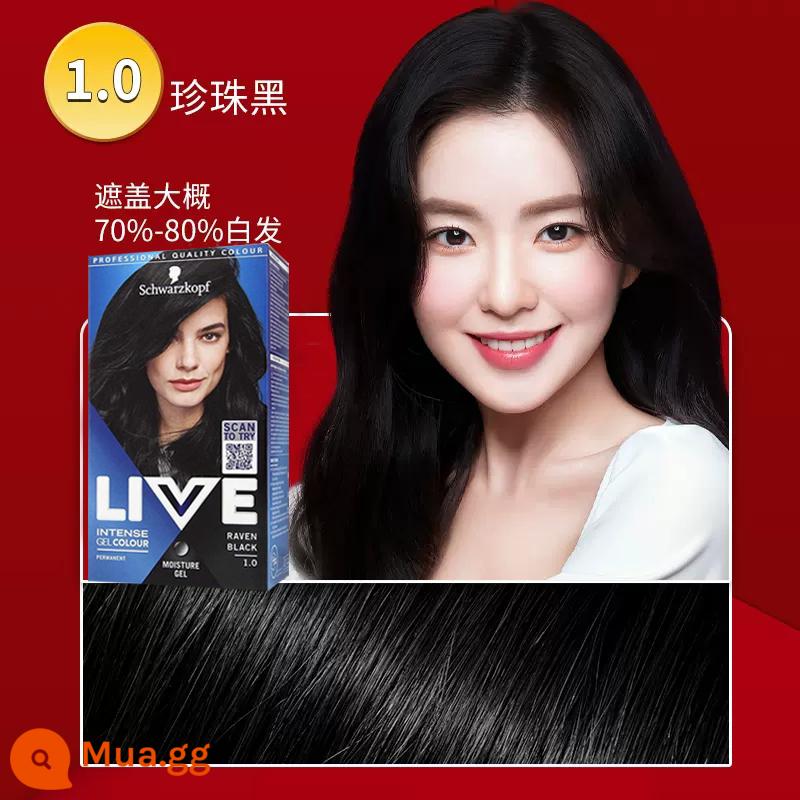 Schwarzkopf SỐNG tóc xanh đen shihualou chính thức nữ l75 bọt bong bóng 101 vật có nguyên chất kem nhuộm tóc - 1.0 Pearl Black (che phủ lông trắng)