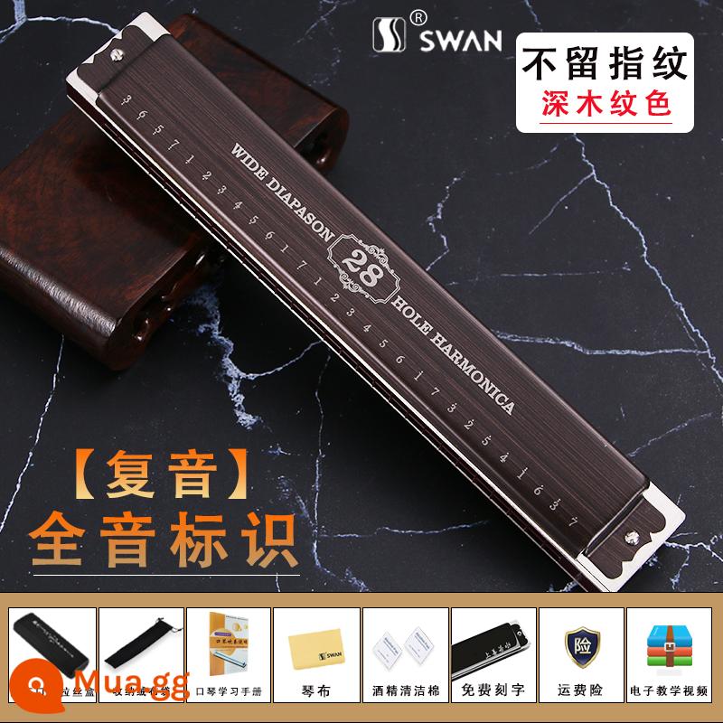 Đức nhập khẩu sậy thiên nga 28 lỗ có dấu kèn harmonica dành cho người lớn chơi chuyên nghiệp cấp mới bắt đầu Phím C đa âm 24 lỗ - (Không dính dấu vân tay) Đa âm 28 lỗ cao cấp [có ký hiệu phiên âm] màu vân gỗ sáng + tài liệu học tập