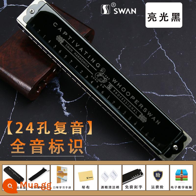 Đức nhập khẩu sậy thiên nga 28 lỗ có dấu kèn harmonica dành cho người lớn chơi chuyên nghiệp cấp mới bắt đầu Phím C đa âm 24 lỗ - [Cấp độ trình diễn] Phím C đa âm 24 lỗ đen tiêu chuẩn âm nhạc + trọn bộ quà tặng