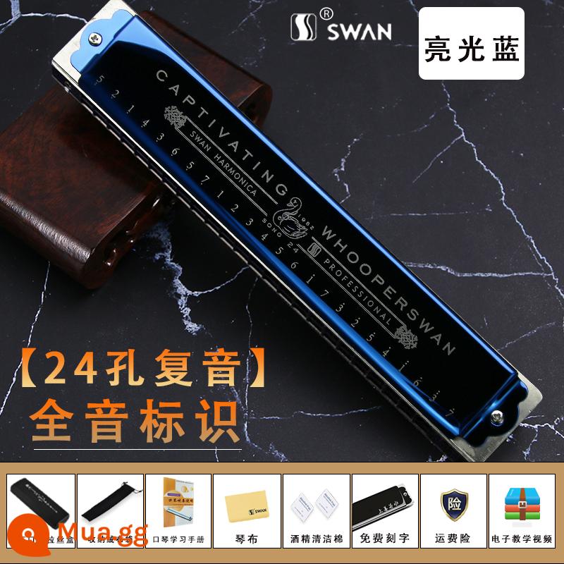 Đức nhập khẩu sậy thiên nga 28 lỗ có dấu kèn harmonica dành cho người lớn chơi chuyên nghiệp cấp mới bắt đầu Phím C đa âm 24 lỗ - [Cấp độ biểu diễn] Phím C đa âm 24 lỗ màu xanh tiêu chuẩn + bộ quà tặng đầy đủ