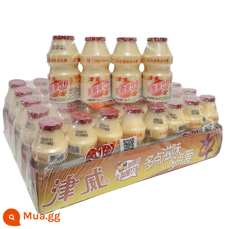 Jinwei sữa chua vi khuẩn axit lactic 95ml * 40 chai nhỏ Quý Châu uống 150ml chai lớn đầy đủ kẽm lactate uống - Vi khuẩn lactic 100ml*40 chai