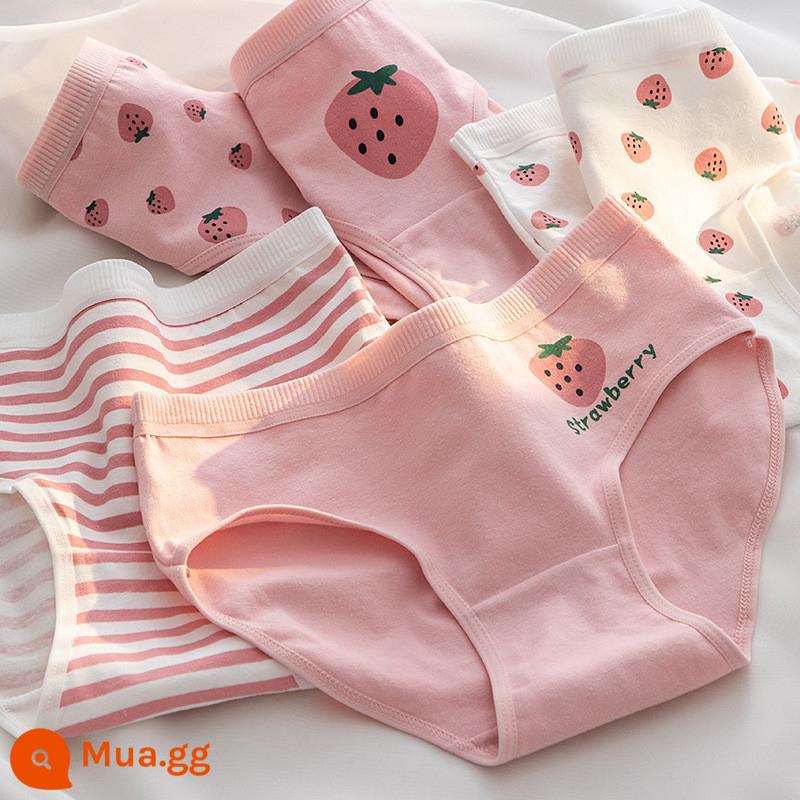 Đồ lót bé gái cotton nguyên chất thời kỳ phát triển của trẻ em trung và lớn bé gái học sinh tiểu học trung học cơ sở quần đùi tam giác đầu 8-18 tuổi - Dâu hồng 6 miếng [tam giác]