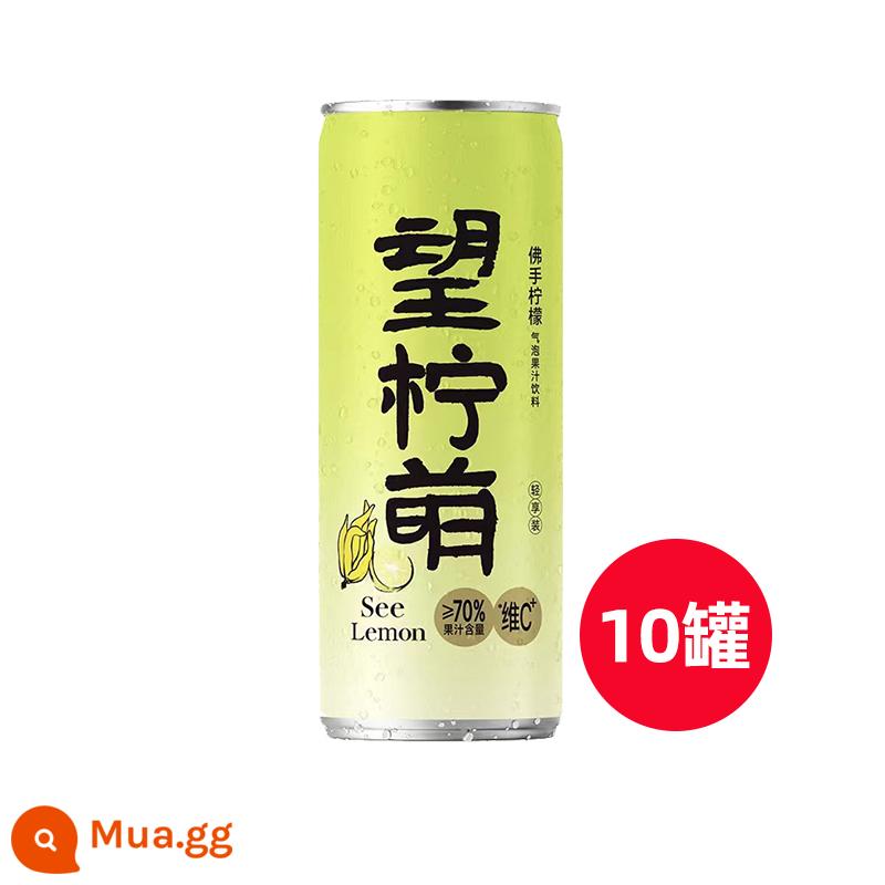 [Dành riêng cho khách hàng mới] Good Hope Water Hope Hawthorn Lemon Meng Juice đóng hộp Nước có ga Nước uống giải khát mùa hè - Vương chanh*10 lon