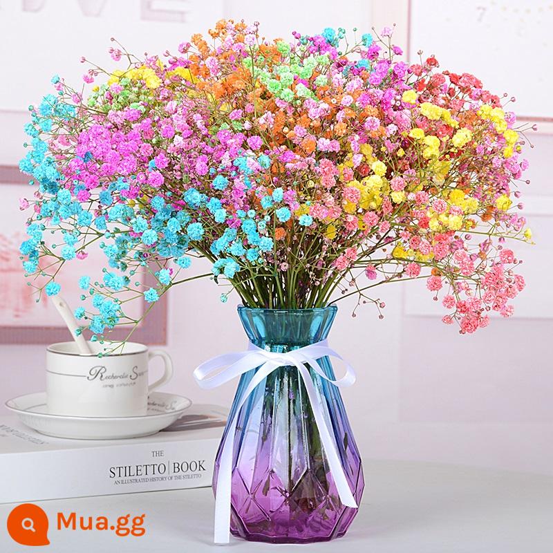 Bình đầy sao bó hoa khô hoa tươi trang trí phòng khách tự nhiên trang trí phòng ngủ cắm hoa tại nhà - Gypsophila đầy màu sắc [có bình]