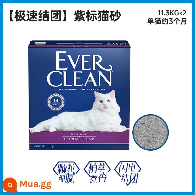 EverClean kim cương bạch kim than hoạt tính khử mùi quặng bentonite không bụi cát vệ sinh mèo có thể trộn cát đậu hũ 10kg+ - Nhóm cài đặt nhanh-Nhãn màu tím 11,3kg*2