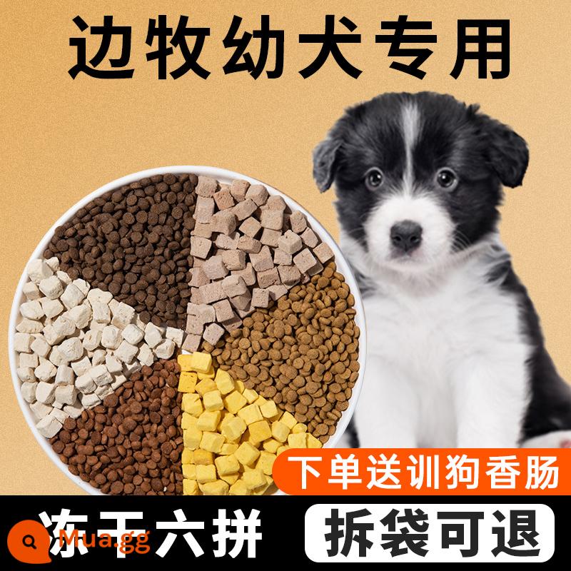 Thức ăn đặc biệt cho chó Isaac Border Collie 40 catties thức ăn đông khô cho chó con chó trưởng thành gói lớn làm đẹp tóc bổ sung canxi cho chó chăn cừu - Đặc biệt dành cho chó Border Collie (6 miếng đông khô) thịt bò + thịt sống + lòng đỏ trứng + phô mai feta + protein cao + thức ăn thịt tươi