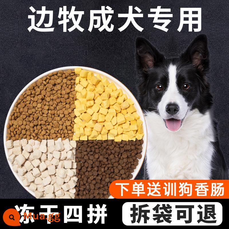 Thức ăn đặc biệt cho chó Isaac Border Collie 40 catties thức ăn đông khô cho chó con chó trưởng thành gói lớn làm đẹp tóc bổ sung canxi cho chó chăn cừu - Đặc biệt dành cho các loại collies biên giới (4 miếng đông khô) thịt sống + lòng đỏ trứng + phô mai feta + thực phẩm thịt tươi