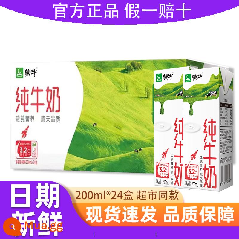 [Ngày mới] Chính thức chính thức Mengniu Sữa nguyên chất 250ml*24 Hộp ăn sáng dinh dưỡng gia đình đầy đủ chất béo - [Quản lý cửa hàng khuyến nghị hàng mới về trong tháng 12] 200ml*24 hộp