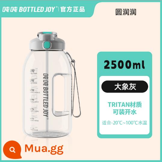 Ấm đun nước thể thao đóng chai tương tự của Wang Yibo cốc bụng lớn cốc nước dung tích lớn cốc nước nam và nữ - Ống hút 2.5L + uống trực tiếp voi xám (chất liệu Tritan)