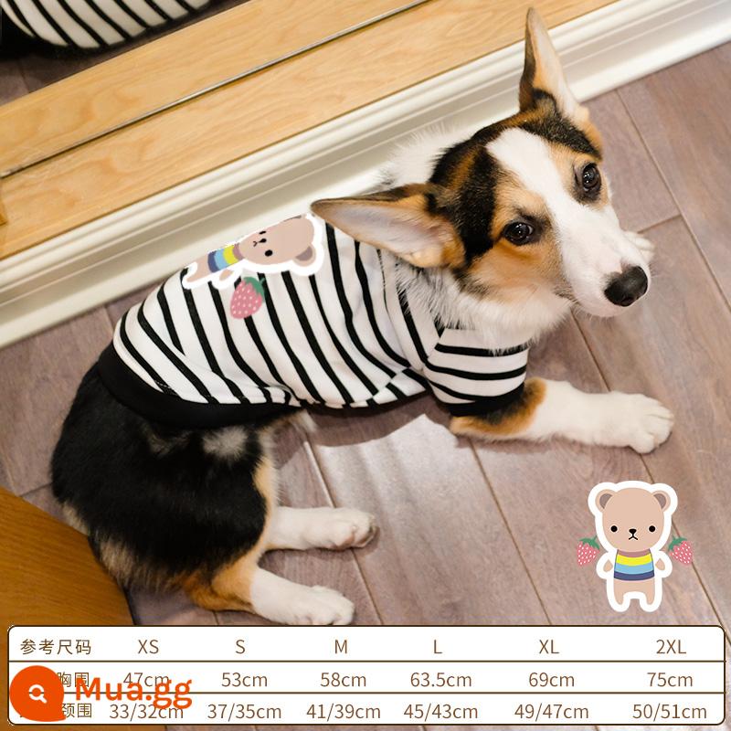 Corgi quần áo đặc biệt mùa xuân và mùa thu chó nhỏ chó nhỏ chó trung bình chó con chống rụng lông thú cưng mùa xuân quần áo mùa thu đông - (Áo len đặc biệt Corgi) Gấu dâu