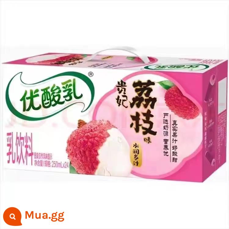 Tháng 12, Yogurt Yili Youyaourt Original Flavour 250ml*24 hộp full box sữa chua uống dành cho bữa sáng của học sinh, sinh viên ưu đãi đặc biệt miễn phí vận chuyển - [Sản xuất trong tháng 10] 250ml*24 hộp sữa chua và hương vải thiều cao cấp