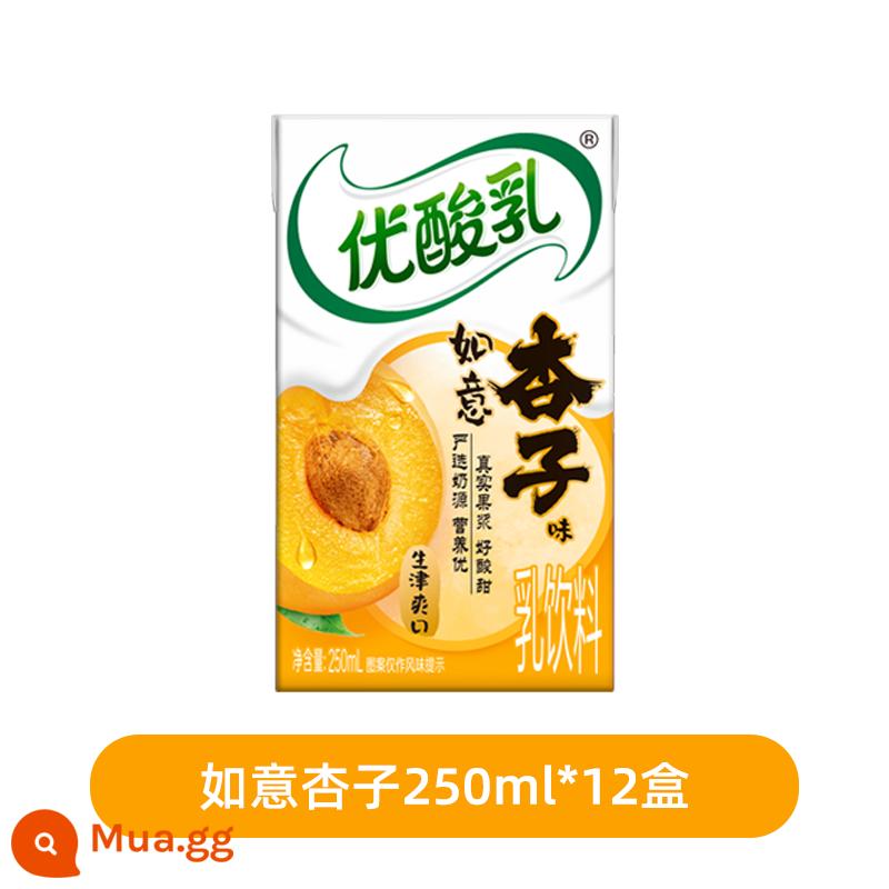 Tháng 12, Yogurt Yili Youyaourt Original Flavour 250ml*24 hộp full box sữa chua uống dành cho bữa sáng của học sinh, sinh viên ưu đãi đặc biệt miễn phí vận chuyển - [Hương vị mới] 250ml * 12 hộp hương mơ Như Ý