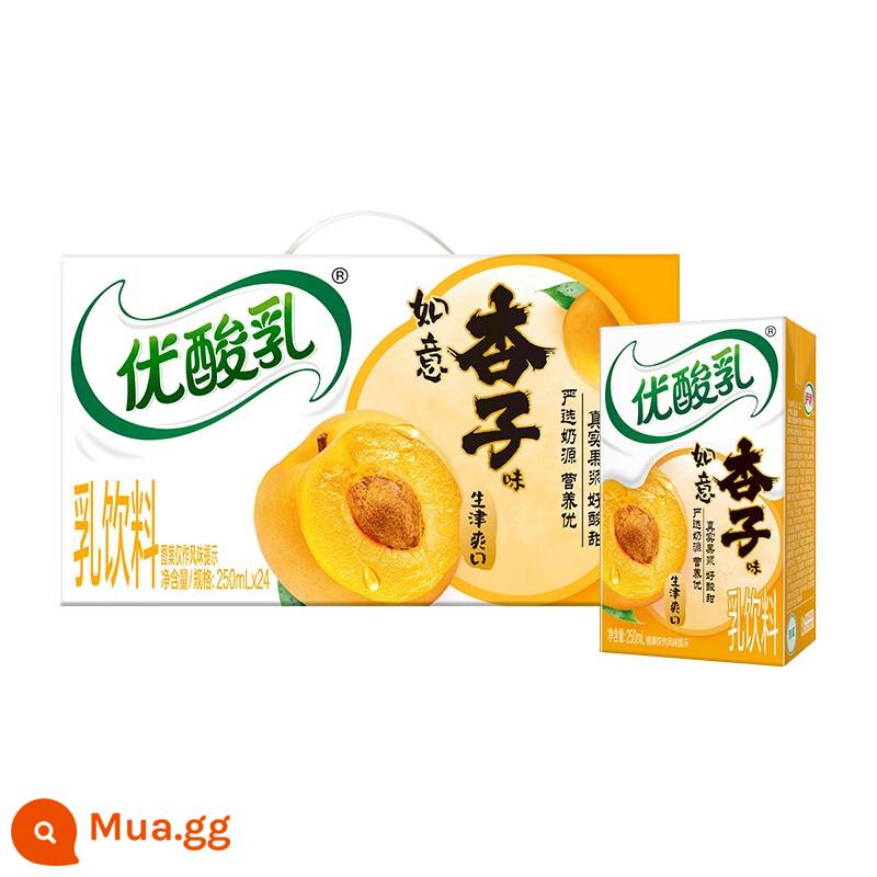 Tháng 12, Yogurt Yili Youyaourt Original Flavour 250ml*24 hộp full box sữa chua uống dành cho bữa sáng của học sinh, sinh viên ưu đãi đặc biệt miễn phí vận chuyển - [Giá đặc biệt tháng 6] 250ml*24 hộp Hương Mai Như Ý