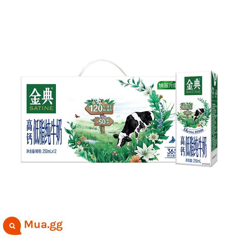 Hàng mới về vào tháng 11 Sữa nguyên chất Yili Jindian 250ml * 12 hộp/hộp đầy đủ sữa ăn sáng dinh dưỡng dành cho người lớn dành cho học sinh - [Sản xuất vào tháng 8] Jindian High Canxi Low Fat 250ml * 12 hộp