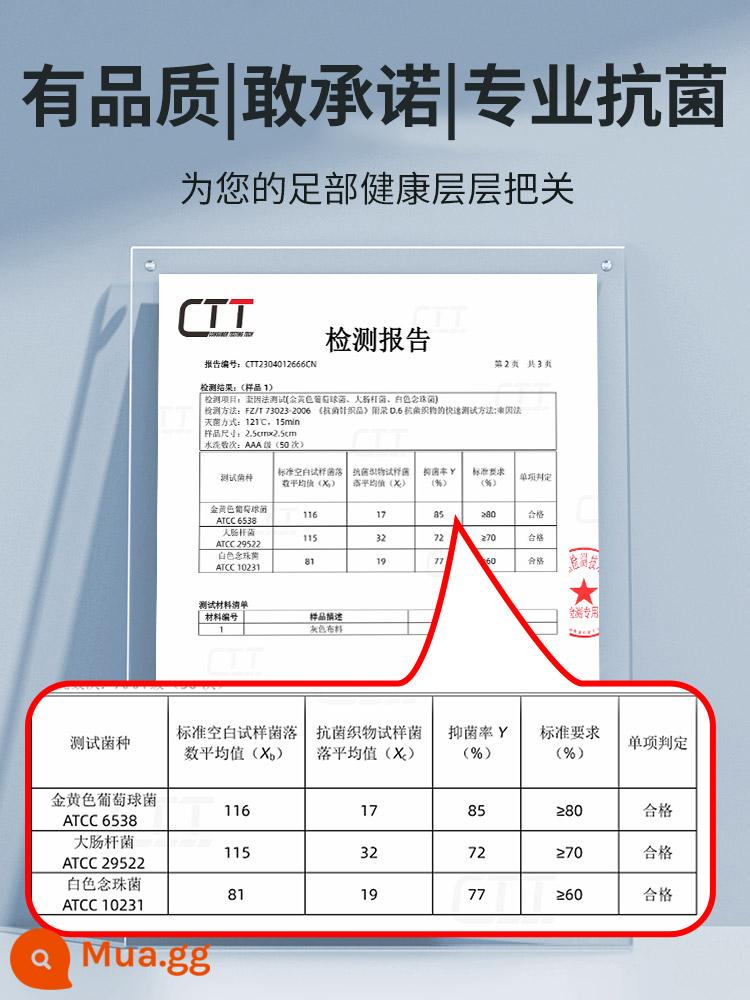 2 đôi lót giày khử mùi ngải cứu nam thoáng khí thấm mồ hôi khử mùi mồ hôi chân chống mồ hôi đáy siêu mềm kháng khuẩn thơm mát mùa hè - [Chất lượng | Dám Hứa] Kháng khuẩn và khử mùi hiệu quả