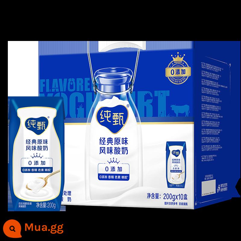 [Lấy lúc mười giờ] Sữa chua hương vị nguyên bản Chunzhen 200g × 10 hộp (nâng cấp dinh dưỡng) nguyên hộp - Hương vị ban đầu * 1 hộp